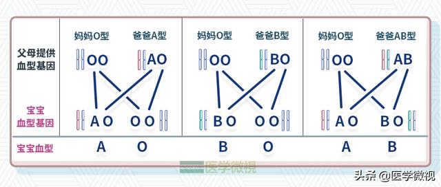 两人八字不合的概率是多少