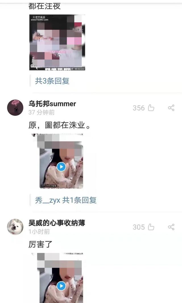 周易八字起名网订单查询