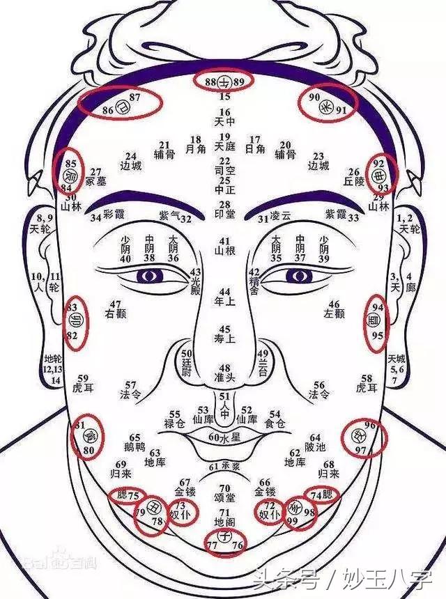 八字中天仓怎么查