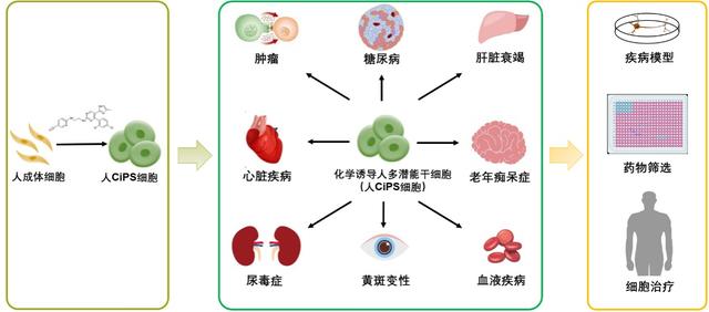 最新八字取名软件破解版