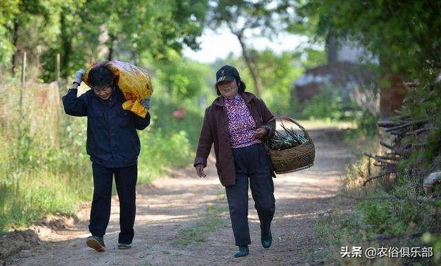 姐弟恋女人八字