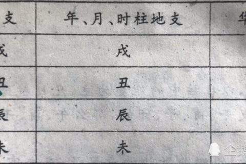 张志俊太极八字圈视频，张志俊的八字圈视频