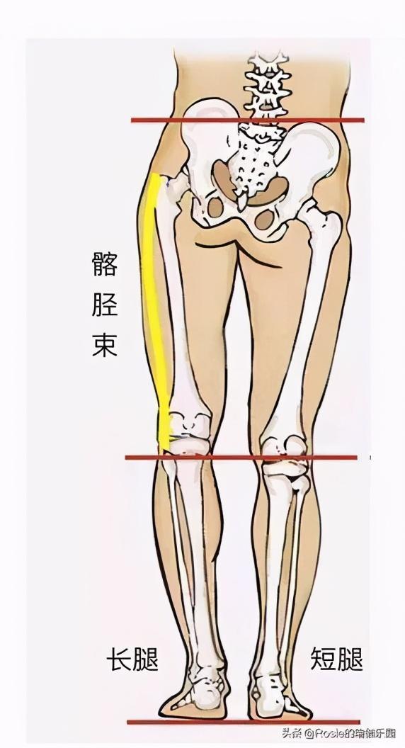 瑜伽骨头八字式