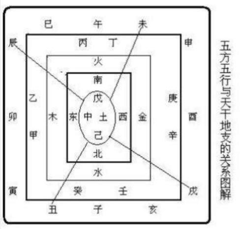 八字专旺格查询