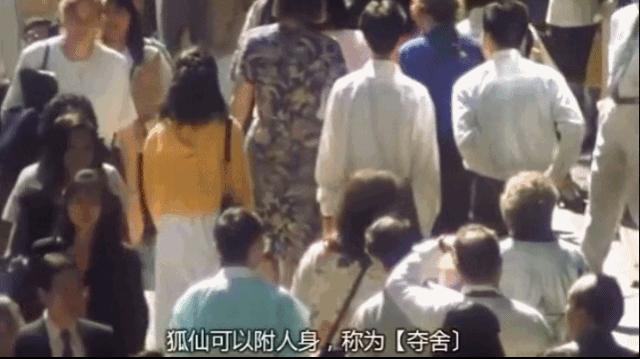 苏民峰八字起名视频讲座