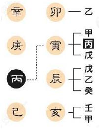 八字有根查询