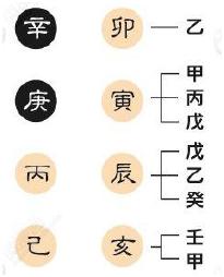 八字有根查询