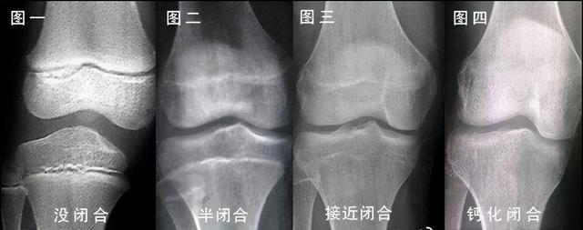 八字跳绳生产公司