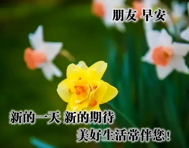 八字成语积极进取