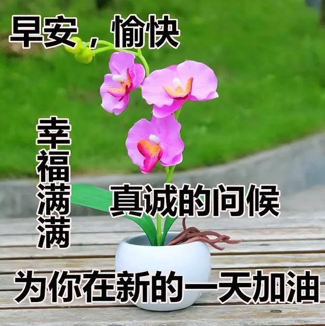 八字成语积极进取