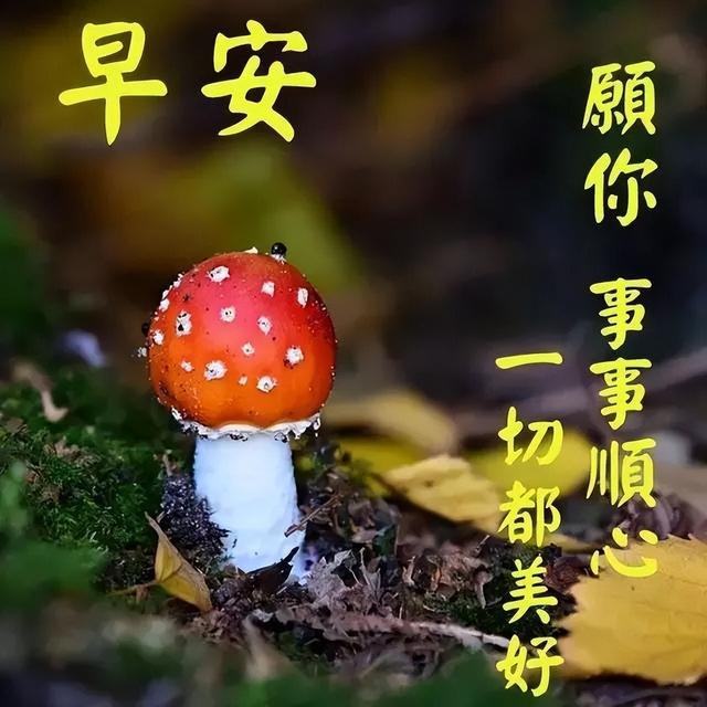 八字成语积极进取