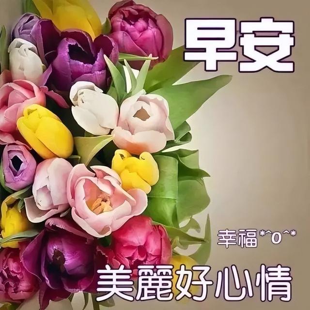 八字成语积极进取