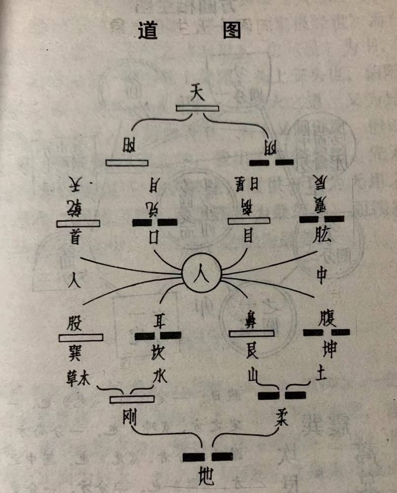 八字只是反应了人的命运，生辰八字真的决定命运吗