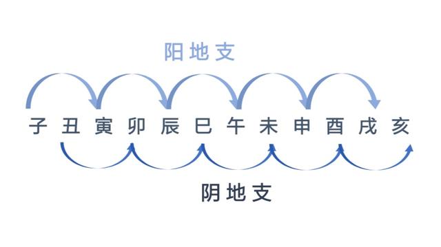 八字地支的阴阳属性