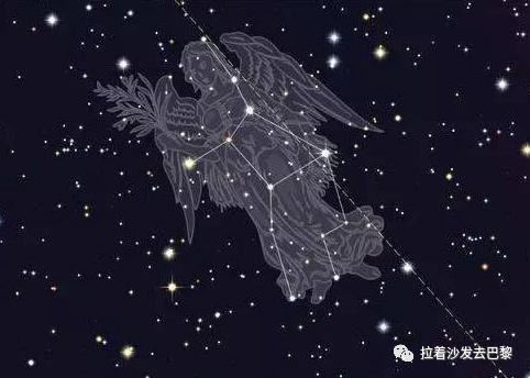 八字天文星查询