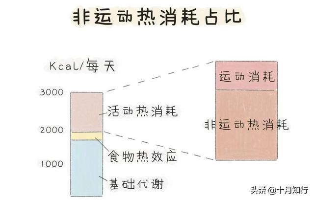 八字中身材微胖