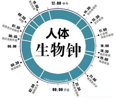 查时辰八字缺什么五行