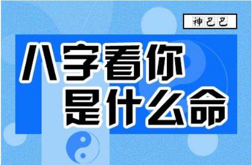 包含命中能够子女富贵的父母八字特征的词条