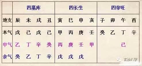 八字五行藏干查询