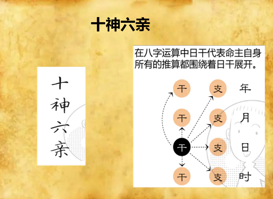 四柱八字十神在线查询