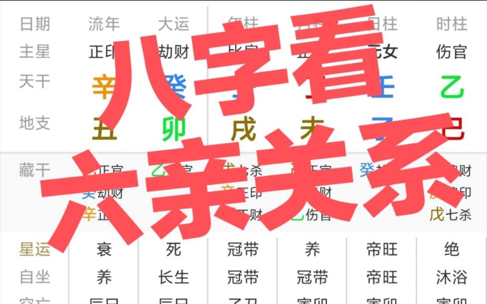 八字六亲查询图表