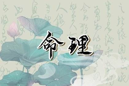 八字贵人在线查