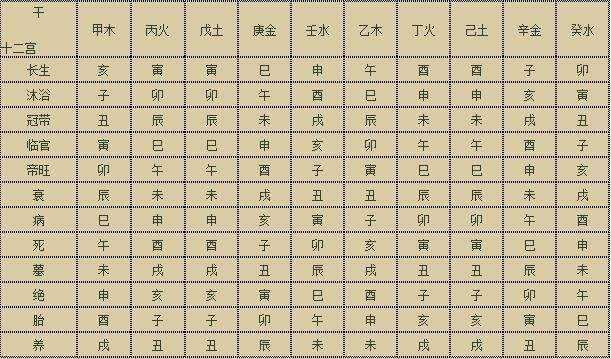 如果学看八字