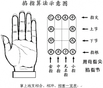 八字天马星的查法