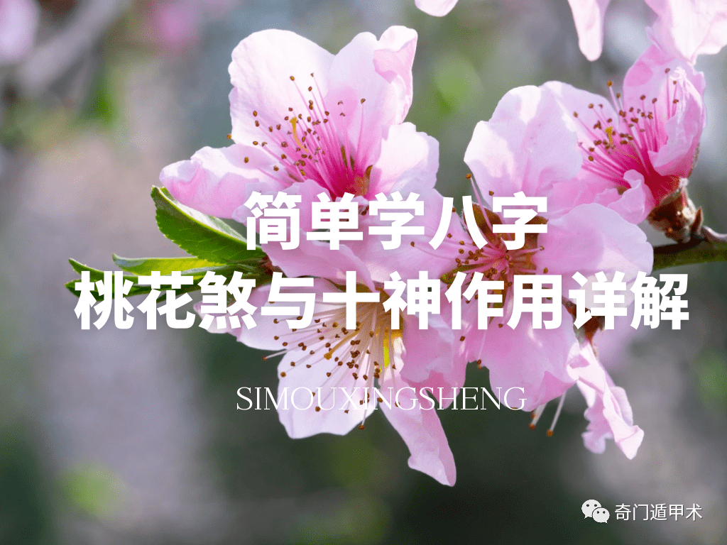 八字论桃花子