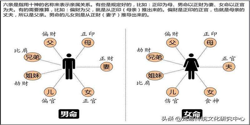 龙易八字破解版