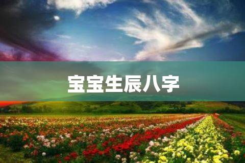 查宝宝生日八字