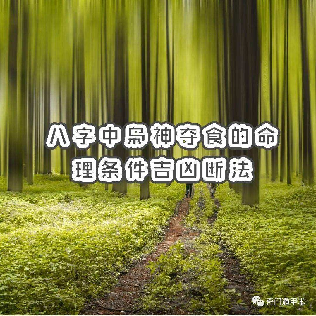 八字伤枭杀组合怎样