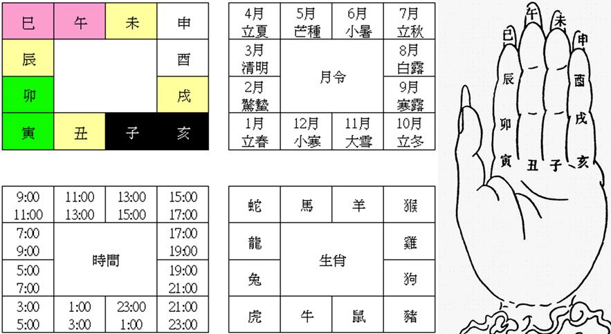 包含八字天干无金地支有申酉怎么理解的词条