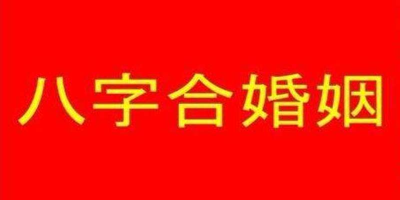 查两个人的八字