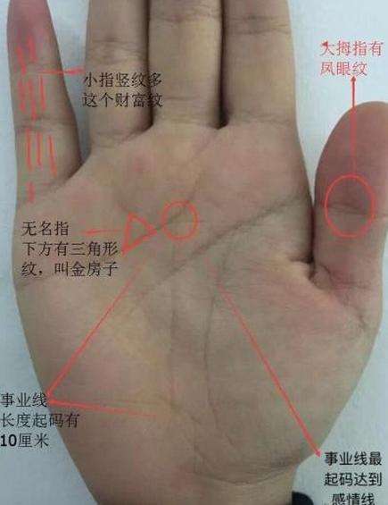 为什么左手手掌有个八字 左手手掌中指下方处一按就疼