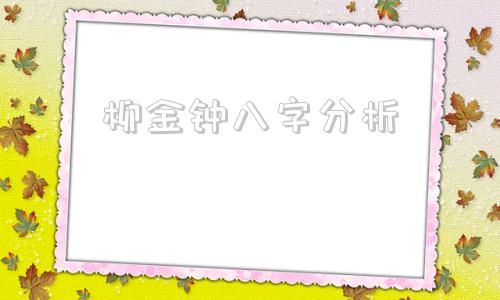 柳金钟八字分析 金钟云八字